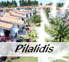 Pilalidis