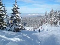 Jahorina